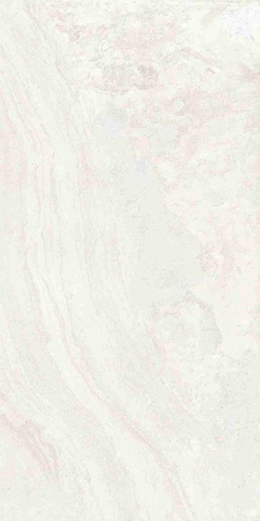 Petra Viva Bone Matte 24 x 48